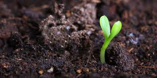 soil ile ilgili görsel sonucu