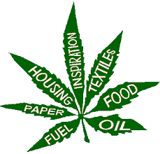 Resultado de imagen de Legalization