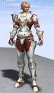 Dynasty leather armor