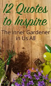 12 Quotes about Gardening to Inspire Your Inner Gardener via Relatably.com