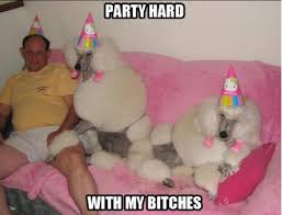 Resultado de imagen de party