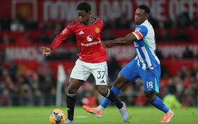 man utd đấu với brighton 아이콘