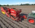 Grimme SE 22-row Potato Harvester -