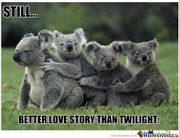 nice koala meme pictures 2013-2014 - Hollywood fashion trend via Relatably.com