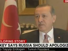 Image result for Turkey's President Tayyip Erdogan, no apology
