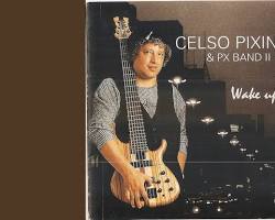 Imagem de Celso Pixinga, Brazilian bassist