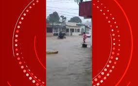 Chuvas intensas na Bahia: alertas de perigo, deslizes e impactos na região