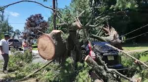 ABC7 New York - News update