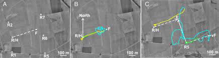 Decoding the Language of Honey Bees: How Returning Foragers Reveal the Source of Nectar through Dance Moves – Proceedings of the National Academy of Sciences