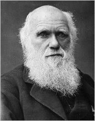 Charles Darwin and Alfred Wallace - 18darwin_190