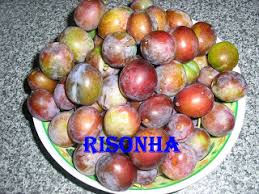 Resultado de imagem para figos de Sao Joao