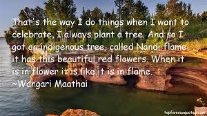 Wangari Maathai quotes: top famous quotes and sayings from Wangari ... via Relatably.com