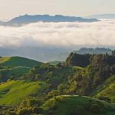 Tilden Regional Park