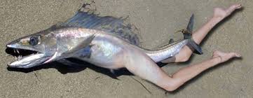 Image result for mutant walking fish