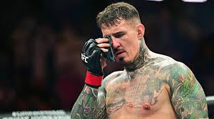Disaster in Abu Dhabi: A brutal eye poke from Ciryl Gane ends his fight against Tom Aspinall in a No Contest
