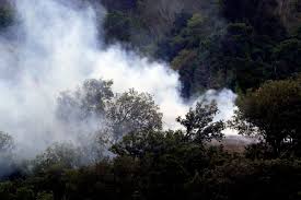 Trend Google: grave incendio
