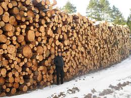 images?q=tbn:ANd9GcRWKwp60xjDGATifWRegWz