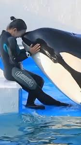 РостовнаДону #Россия #Москва #Крым #красота #Сочи #приколы #улыбка #Питер #юмор #смех #цветы #жизнь #Владивосток #Севастополь #2023 #осень #радость #девушки #music #дружба #artist #instagram #счастье #супер #sport #ноябрь #друзья #ржач #reels