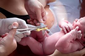 Resultado de imagem para o bebe na barriga da mãe nascimento na agua