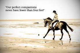 Famous Horse Quotes. QuotesGram via Relatably.com