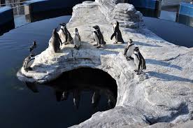 Picture of Ozeaneum