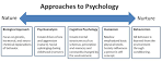 Nature vs nurture outline examples