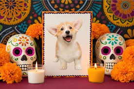 27 de Octubre: Mascotas en el Día de Muertos ¿Por qué es tendencia?