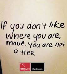 Real Estate Quotes on Pinterest | Real Estate Tips, Real Estate ... via Relatably.com