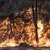 60000 Israelis evacuated in Haifa as fires continue to rage