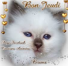 Résultat de recherche d'images pour "jeudi animé"