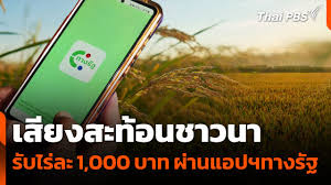 Thai PBS - News update