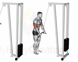 Triceps pushdowns exercise