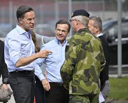 Trend Google: nato