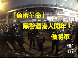 Image result for 魚蛋革命”示威者