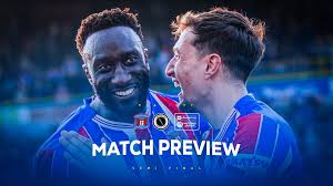 MATCH PREVIEW: BOREHAM WOOD (H)