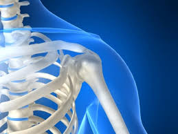 Image result for ‫پوکی استخوان (۱)‬‎