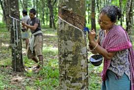 Image result for tripura images