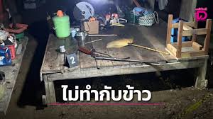 เดลินิวส์ - News update