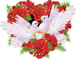 images?q=tbn:ANd9GcRXEv1dDGAOC_I-ZCglykF6DfMRzFDyWnG6DQrQWc0A1nDZI_NQ6A