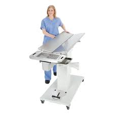 Veterinary Dental Table | Olympic Veterinary