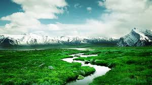 Image result for Amazing HD Nature Wallpapers For Desktop