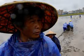 China Braces: How Typhoon Bavi's 1M+ Evacuations Signal a New Era of Disaster Preparedness