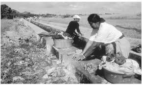 Image result for MAURITIUS INDENTURED INDIANS