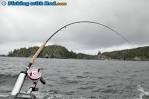 Salmon rod and reel setup