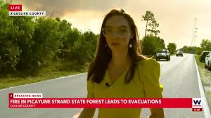 Evacuations Ordered as Brush Fire Spreads in Picayune Strand State Forest