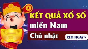 Pháp Luật và Xã hội - News update
