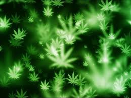 Resultado de imagen de marijuana images google