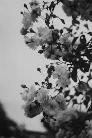 ���� ���� ������ �� ���� ������