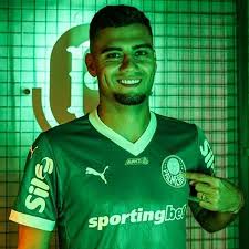 Libertadores: Palmeiras Surpreende com Novas Inscrições! Ingressos Já? - Imagen principal del artículo