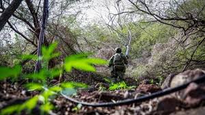 ‘Disparó entre matorrales’: Así fue abatido Jesús ‘Chuy’ González, del Cártel de Sinaloa, en un operativo
